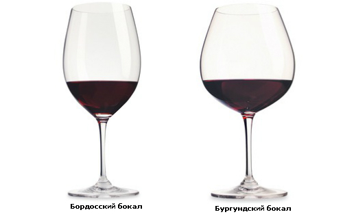 Винный этикет: разбираемся в бокалах для вина